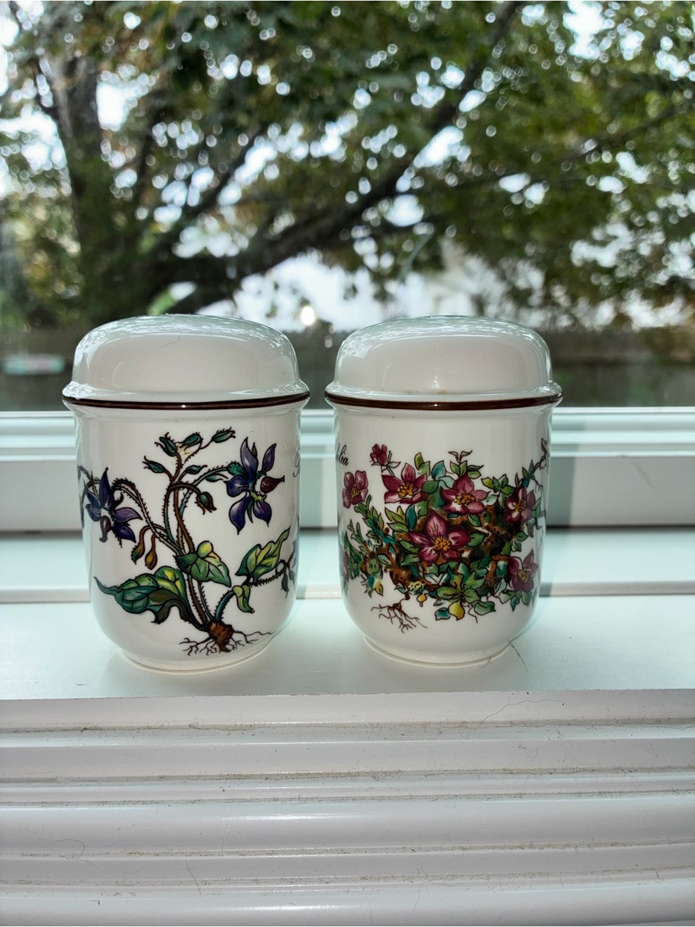 Villeroy & Boch Botanica Salt and Pepper Shakers Borago Saxifraga Set
